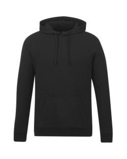 tentree Chandail à capuchon classique en coton biologique - Homme