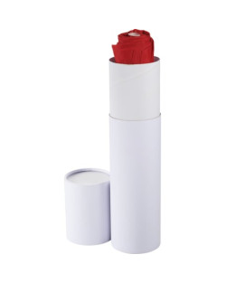 Coffret cadeau parapluie petit (12" H x 3" x 3")