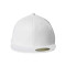 210® Flat Bill Cap