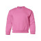 Heavy Blend™ Youth Sweatshirt