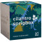 Sprigbox Cilantro Grow Kit