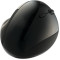 Wireless Ergonomics Optical Mouse