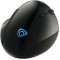 Wireless Ergonomics Optical Mouse