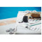 Sony SRS-XB13 Bluetooth Speaker