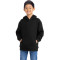 Youth Fleece Pullover Hooded Sweatshirt