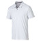 Divisional Polo