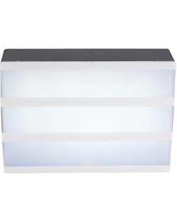 Cinema Light Box - Small
