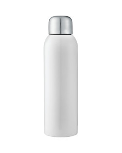 Guzzle 28oz Stainless Sports Bottle