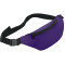 Hipster Budget Fanny Pack