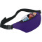 Hipster Budget Fanny Pack