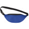 Hipster Budget Fanny Pack