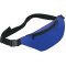 Hipster Budget Fanny Pack