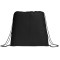 Evergreen Non-Woven Drawstring Bag