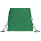 Evergreen Non-Woven Drawstring Bag