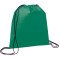 Evergreen Non-Woven Drawstring Bag