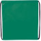 Evergreen Non-Woven Drawstring Bag