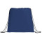 Evergreen Non-Woven Drawstring Bag