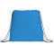 Evergreen Non-Woven Drawstring Bag