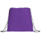 Evergreen Non-Woven Drawstring Bag