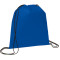 Evergreen Non-Woven Drawstring Bag