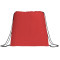 Evergreen Non-Woven Drawstring Bag