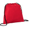 Evergreen Non-Woven Drawstring Bag