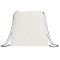 Evergreen Non-Woven Drawstring Bag