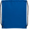 Oriole Drawstring Bag