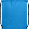 Oriole Drawstring Bag