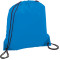Oriole Drawstring Bag