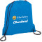 Oriole Drawstring Bag