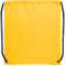 Oriole Drawstring Bag