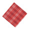 Plaid Fleece Blanket