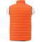 Men's Whistler Light Down Vest