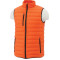 Men's Whistler Light Down Vest