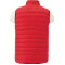 Men's Whistler Light Down Vest
