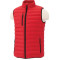 Men's Whistler Light Down Vest