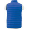 Men's Whistler Light Down Vest