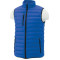 Men's Whistler Light Down Vest
