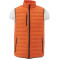 Men's Whistler Light Down Vest