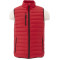 Men's Whistler Light Down Vest