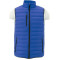 Men's Whistler Light Down Vest