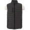 Men's Whistler Light Down Vest