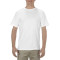 Adult 5.5 oz., 100% Soft Spun Cotton T-Shirt