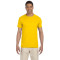 Adult Softstyle® T-Shirt