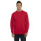 Unisex Laguna French Terry Raglan Sweatshirt