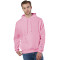 Reverse Weave® Pullover Hooded Sweatshirt