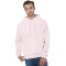 Reverse Weave® Pullover Hooded Sweatshirt